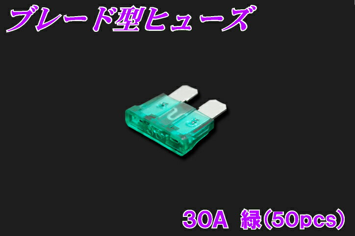 ブレード型ヒューズ　30A　50個入り　【平型ヒューズ】【50個セット】【マラソン201207_家電】【マラソン1207P10】他店圧倒！最安値に挑戦！4200円以上お買い上げで送料無料！バイクパーツの事ならパーツセンターへ♪