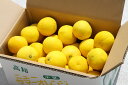 「小夏(柑橘類)(家庭用)」(有機肥料で育てた)5Kg(M〜Lサイズ約40個入り)(送料込)