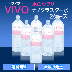 【送料無料】ナノクラスター水VIVO（ヴィボ）2ケース（2L×6本）【ポイント10倍】【あす楽】ナノクラスター水VIVO【ヴィボ】は1日1本（500ml）で1日分の水分補給！【採水地】静岡県