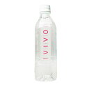 VIVOナノクラスター水ヴィボ(500ml×24本)2ケース...
