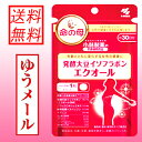 【送料無料・メール便】小林製薬/栄養補助食品命の母 発酵大豆...