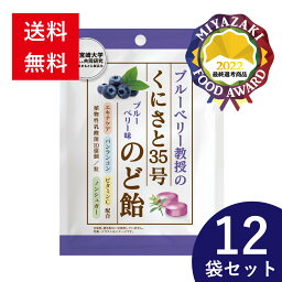 【送料無料】 くにさと35号のど飴 ブルーベリー味 12袋セット のど飴 喉飴 のどあめ ノンシュガー シュガーレス <strong>咳止め</strong> ウィルス 乾燥 砂糖 不使用 個包装 エキナケア バンランコン 糖類0 あめ 飴 アメ のど キャンディー キャンディ まとめ買い