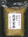 【新潟特産】越後の発芽玄米新潟産コシヒカリ