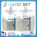 【リトルサイエンティスト】ベータレイヤー CMC ケア シャンプー&トリートメント 1000mL & 1000g SET Little Scientist/CMCケア 髪をケアしながら潤いとツヤを与える