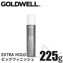 ゴールドウェル スタイルサイン エクストラホールド ビッグフィニッシュ 225g