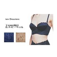 塡ࡡ֥饸㡼ꥢ F85