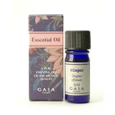 桜満開♪全品ポイント10倍セール!【GAIA】エッセンシャルオイル ジンジャー 5ml
