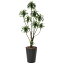 造花アート・観葉植物 ドラセナコンパクタ1.6 ※抗菌、消臭効果のある光触媒商品は開店・移転などのお祝いの贈り物、オフィス・店舗などのインテリアとしてオススメ【送料・立札orメッセージカード無料】