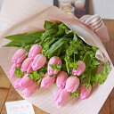 【送料無料】春のお祝い花 チューリップの花束 ピンク系(春仕様ラッピング・便利な手持ちバック付き)プレゼント ギフト フラワーギフト 贈り物 入学祝い 卒業祝い 退職祝い 入園祝い 入社祝い 贈答品 誕生日プレゼント 誕生日ギフト あす楽