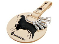 ̣ФƤܳСˡBLCꥸʥ쥶ۥ