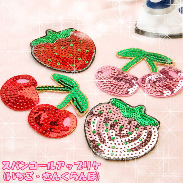 Ҷ繥ʥե롼ĤΥ饭饢åץꥱ105ߡNEW104ˡWEBŹۥѥ󥳡륢åץꥱʤܡ