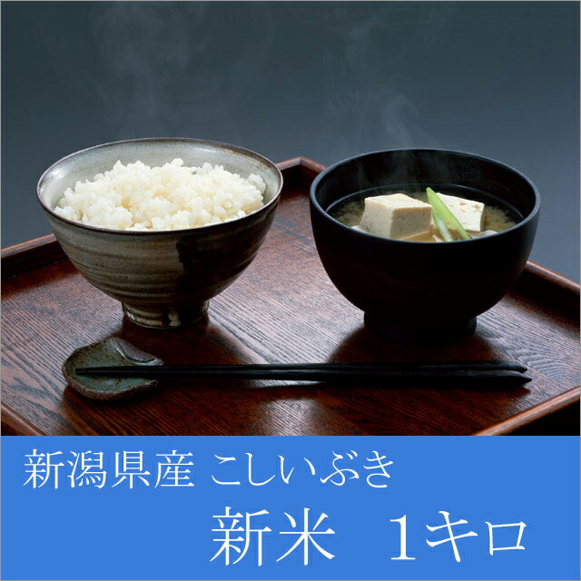 こしいぶき 新潟 新米 23年産 こしいぶき 1キロ 1kg 新潟県産 