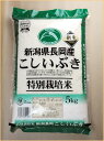 こしいぶき 特別栽培米 新潟県長岡産　23年度産　　5キロ　5kg 5キロ 新潟県産 