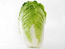 【送料無料】【朝市場の新鮮野菜】白菜 (約2kg）1個×4個セット フードサプライ 【冷蔵】