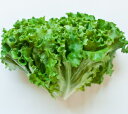 【ムソーの安心野菜】有機グリーンリ-フ 1個