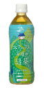 【送料無料】恒食 ゴールドパック 北アルプス茶屋の 緑茶 500ml x2個セット
