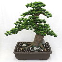 【工芸盆栽】長角 15号 【Bonsai of imitation】【Bonsai of artificial】