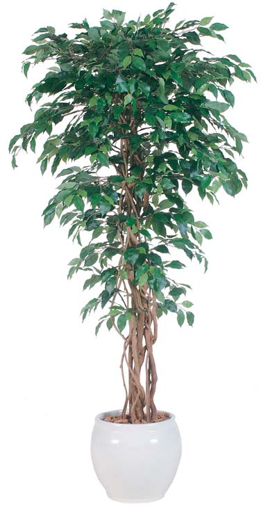 ͹ե٥󥸥ߥ ꥢ 2.0m⳰TO)