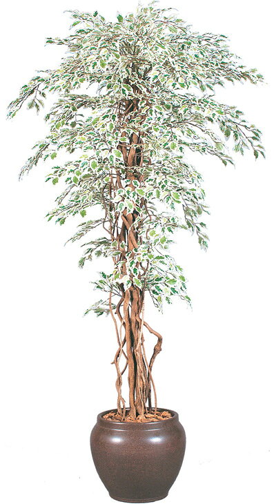 ͹٥󥸥ߥ 饤ȥꥢ 1.5m⳰TO)