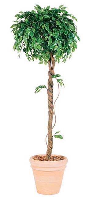 ͹٥󥸥ߥʥץå奷󥰥 1.8m⳰TO)