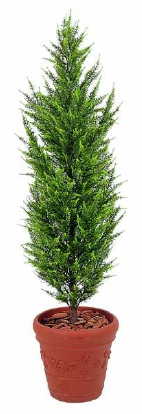 饴ɥ쥹ȡ1.8m⳰ʿ͹