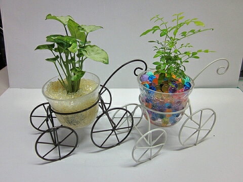 ハイドロカルチャー観葉植物　自転車　2個セット（ブラック・ホワイト）　素敵なデザインの自転…...:bloomgrace:10001813