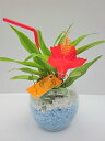 バブ10 ハイビスカス マゼペット サンデリアーナ サマーデザイン ハイドロカルチャー 水耕栽培 観葉植物 お中元 お歳暮 母の日 プレゼント ギフト 敬老 インテリア プランツ 贈り物 誕生日 サンゴ砂 涼しげ 風鈴 【05P01Mar15】