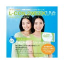 CTL/エルコン2ウィーク UV 度数-0.50 6枚入 【正規品】