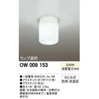 オーデリック　OW009153　バスルームライト(白熱灯60W) 【c】【s】【正規品】【ご注文後1週間前後で出荷となります】