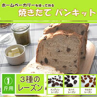 【送料無料】デルタインターナショナル　焼きたてパンキット（3種のレーズン）約348g×10個 【c】【s】【正規品】【ご注文後1週間前後で出荷となります】