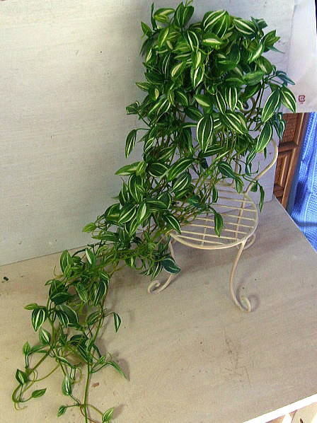 長さ80cm・グリーンのカーランド観葉植物・造花の観葉植物・グリーンのガーランド・グリーンの造花・造花・アートフラワー・シルクフラワー造花・CT触媒・枯れない花・光触媒・