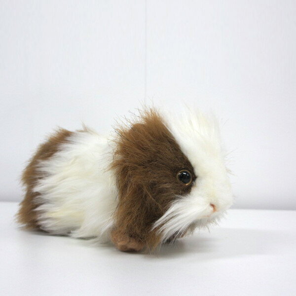 nTyeWNlY~zm3735nhansa guinea pig brown/white bghansa HANSA Aȓ̂ʂ