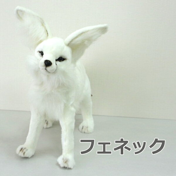 mnTnm4069ntFlbNiEzCgj@50-desert fox-