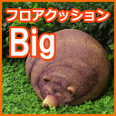 【入荷済・都内倉庫から発送】まったりまどろみ中のくまさんのア...