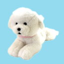 【入荷済】サンレモン ひざわんこ ビショ...
