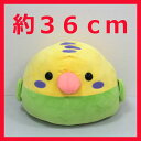 【オマケ付き♪】【約36センチ】【セキセイグリーン】もちっこ!ことり隊BIGことり隊 ぬいぐるみ