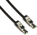 ACOUSTIC REVIVE オーディオグレードLANケーブル 1.0m LAN1.0TRIPLE-C