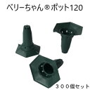 イチゴ 苗ポット 定植苗栽培用容器 ポット【業者様限定品 DGK ベリーちゃんポット 120型 300個セット】 送料無料 大和技研工業 日本製