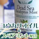 エールデッドシーユーカリミントバスソルト 1kg 死海の塩 1キロ 入浴剤 クール 風呂 バスソルト 美容