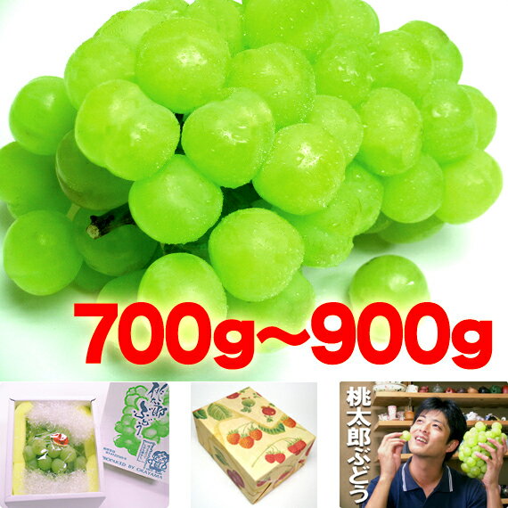  RY YԂǂ Ȃ 炲 ˃WCAc Yn t[c YuhE  햳 Mtg p Z[uYԂǂ1[700g900g RYv10P13oct13_b