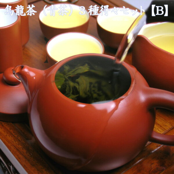 ウーロン茶3種セット！味の違いを楽しめます！美味しい中国茶で癒しのひとときを！健康ダイエットにもオススメ「烏龍茶（青茶）3種得々セット【B】（中国茶）」