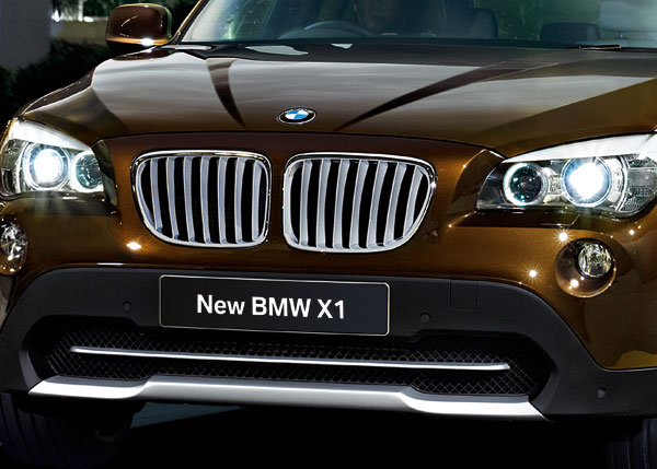 BMW グリル BMW X1 チタングリルセット