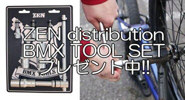【送料無料】【スタンド工具セットペグ2本サービス!!】2015年モデルWeThePeople-ENVY20.6"/エンヴィ/BMX完成車ストリートパークダートフルクロモリフリーコースターハブ仕様!!