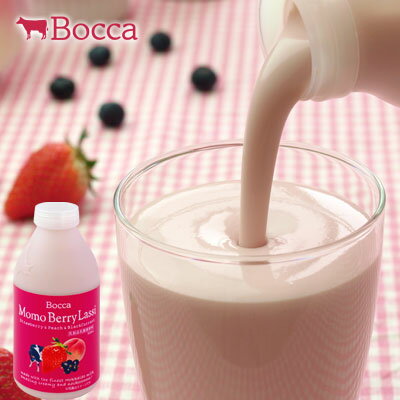 yBoccaz qƁ@x[bV[500ml ykCyYz8C400~ȏ1 I䕁AAubNJ[guhÎ_ςbV[