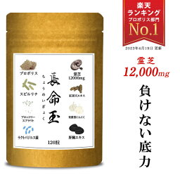 健康維持 元気 サプリ 霊芝 12000mg 高配合 れいし 乳酸菌 スピルリナ プロポリス 牡蠣 シジミ カキエキス ウコン アミノ酸 ブロッコリースプラウト グルタミン コ<strong>ハク</strong> 紅景天 発酵 黒にんにく 霊芝粉 キノコ 健康 サプリメント 120粒 長命玉 送料無料 国産 日本製