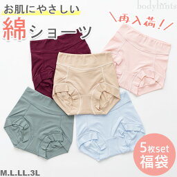 綿 ショーツ 5枚セット 福袋 お買い得 パンツ レディース セール sale 在庫限り M/L/LL/3Lサイズ 大きいサイズ ははの日 母の日 プレゼント 実用的