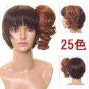 ウイッグ ポイントウィッグ 20cm 耐熱 wig カラー展...