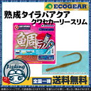 【送料無料】エコギア タイラバ ワーム 熟成タイラバアクア ...