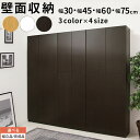 本棚 扉付き ウッドラック リビング 子供部屋 子ども部屋 収納 送料無料 木製ラック 木製 国産 壁面収納 整理 ブックシェルフ 壁面ラック 整理棚 食器棚 両開き 食器 CD DVD システム家具 チェスト おしゃれ シンプル インテリア