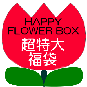 ごめんなさい！！今年は完全数量限定伝説の福袋?超特大！お花屋さんの夢福袋
